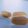 Thuốc kháng virus Molnupiravir. (Nguồn: IndiaTimes)