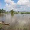 Đánh bắt cá trên cánh đồng ngập nước ven kênh Vĩnh Tế, xã Vĩnh Tế, thành phố Châu Đốc, tỉnh An Giang. (Ảnh: Công Mạo/TTXVN)
