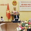 Phó Chủ tịch Quốc hội Nguyễn Đức Hải phát biểu tại Hội nghị tiếp xúc cử tri sau Kỳ họp thứ 2, Quốc hội khóa XV của Đoàn đại biểu Quốc hội tỉnh Quảng Nam. (Ảnh: Việt Đức/TTXVN)