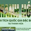 [Infographics] Sáu di tích quốc gia đặc biệt tại Thanh Hóa