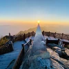 Sương muối phủ trắng đỉnh Fansipan, tỉnh Lào Cai. (Ảnh: TTXVN phát)