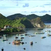 Quần đảo Cát Bà thuộc huyện đảo Cát Hải, thành phố Hải Phòng đã được UNESCO công nhận là khu dự trữ sinh quyển thế giới, mỗi năm thu hút hàng triệu lượt khách trong nước và quốc tế thăm quan, nghỉ dưỡng. (Ảnh: An Đăng/TTXVN)