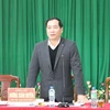 Phó Chủ tịch thường trực UBND tỉnh Lạng Sơn Dương Xuân Huyên phát biểu tại cuộc họp. (Ảnh: Quang Duy/TTXVN)