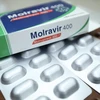 Thuốc điều trị COVID-19 chứa hoạt chất Monulpiravir chính hãng cho bệnh nhân F0 điều trị tại nhà. (Ảnh: Minh Quyết/TTXVN)