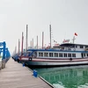 Ngày 15/3, Cảng tàu khách quốc tế Hạ Long đón khoảng 100 khách tham quan vịnh Hạ Long, hàng loạt tàu đỗ bờ vì vắng khách. (Ảnh: Thanh Vân/TTXVN)