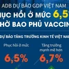 ADB dự báo GDP Việt Nam phục hồi ở mức 6,5% nhờ bao phủ vaccine