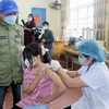 Trẻ em được tiêm tại điểm tiêm trường THCS Lương Khánh Thiện, thành phố Phủ Lý, dưới sự theo dõi của phụ huynh và nhân viên y tế. (Ảnh: Đại Nghĩa/TTXVN)