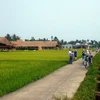 Không gian nhà hàng The Field - nơi diễn ra sự kiện “Ấn tượng Việt Nam trên ruộng đồng miền di sản.” (Nguồn: baoquangnam.vn)