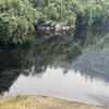Nước thải đổ ra sông Quyền khiến nước sông chuyển sang màu đen. (Nguồn: laodong.vn)