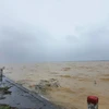 Cánh đồng lúa ở xã Hải Quế, huyện Hải Lăng, tỉnh Quảng Trị, bị nhấn chìm trong nước do mưa lớn. (Ảnh: Nguyên Lý/TTXVN)