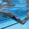 Vận động viên thi đấu ở nội dung 100m vòi hơi chân vịt nữ. (Ảnh: seagames.vnanet.vn)