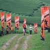 Các vận động viên chuẩn bị cán đích tại khu vực đồi chè trái tim - điểm du lịch nổi tiếng tại huyện Mộc Châu. (Ảnh: Hữu Quyết/TTXVN)