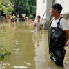 Nhiều nhà dân bị ngập do mưa lũ. (Ảnh: TTXVN phát)