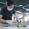 Công ty Daikan Việt Nam, Khu công nghiệp Amata, tỉnh Đồng Nai. (Ảnh: Công Phong/TTXVN)