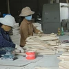Người lao động làm việc tại Công ty Cổ phần chế biến gỗ xuất khẩu Hưng Thịnh thuộc Khu Công nghiệp Tâm Thắng, huyện Cư Jút, tỉnh Đắk Nông. (Nguồn: daknong.gov.vn)