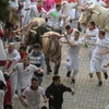 Những con bò tót chạy đua cùng dòng người tham gia lễ hội nổi tiếng San Fermín trên quãng đường tới trường đấu bò ở thành phố Pamplona, Tây Ban Nha ngày 6/7. (Ảnh: AFP/TTXVN)