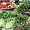 Mặt hàng rau xanh đang tăng 'nóng' tại các chợ trên địa bàn thành phố Hà Nội. (Ảnh: PV/Vietnam+)