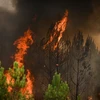 Khói lửa bốc lên từ đám cháy rừng gần Saint-Magne, Tây Nam Pháp ngày 11/8. (Ảnh: AFP/TTXVN)