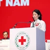 Chủ tịch Hội Chữ thập Đỏ Việt Nam Bùi Thị Hòa khóa X phát biểu tại Đại hội. (Ảnh: Thanh Tùng/TTXVN)