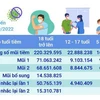 Hơn 259,73 triệu liều vaccine phòng COVID-19 đã được tiêm tại Việt Nam