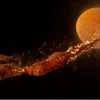 Mô phỏng cho thấy mặt trăng hình thành từ phần còn lại của Theia và các phần của lớp phủ bị đẩy ra của Trái đất. (Nguồn: livescience.com)