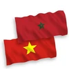 Cờ Maroc và Việt Nam. (Nguồn: vectorstock.com)