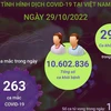 [Infographics] Ngày 29/10: Có 263 ca COVID-19 mới, 290 F0 khỏi bệnh