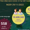 [Infographics] Tình hình dịch COVID-19 tại Việt Nam ngày 29/11
