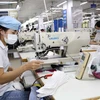 Công nhân làm việc trong xưởng may hàng xuất khẩu tại Garco 10, Tổng Công ty May 10. (Ảnh: Trần Việt/TTXVN)