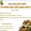 [Infographics] Việt Nam xuất khẩu lô nhãn đầu tiên sang Nhật Bản