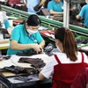 Công nhân làm việc tại nhà máy Công ty TNHH Giày Gia Định, thành phố Thủ Đức, Thành phố Hồ Chí Minh. (Ảnh: Hồng Đạt/TTXVN)
