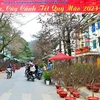 [Photo] Rộn ràng chợ hoa Tết Nguyên đán Quý Mão 2023 ở Hà Giang 