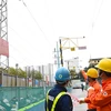 Nhân viên Tổng Công ty Điện lực Hà Nội kiểm tra việc vận hành lưới điện truyền tải. (Ảnh: EVNHANOI)