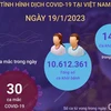 [Infographics] Cập nhật tình hình dịch COVID-19 ở Việt Nam ngày 19/1