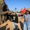 [Photo] Đắk Lắk: Du lịch thân thiện cùng voi - Bảo tồn để phát triển 
