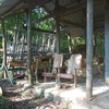 Lán trại xây dựng trái phép trên bán đảo Sơn Trà được cơ quan chức năng yêu cầu tháo dỡ. (Ảnh: TTXVN phát)