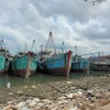 Nhiều tàu cá hành nghề giã cào tại cảng cá Phước Hiệp, xã Phước Tỉnh đậu bờ lâu ngày đã được chủ liên tục rao bán. (Ảnh: Hoàng Nhị/TTXVN)