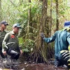 Các lực lượng thường xuyên luồn rừng, kiểm tra tình hình mực nước dưới chân rừng, có dự báo kịp thời để triển khai các phương án giữ rừng an toàn. (Ảnh: Huỳnh Thế Anh/TTXVN)