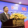 Ông Dương Anh Đức, Phó Chủ tịch UBND TP Hồ Chí Minh, phát biểu tại Diễn đàn. (Ảnh: Xuân Anh/TTXVN)