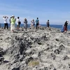 Du khách tham quan, khám phá bãi san hô cổ Hang Rái, thuộc Khu dự trữ sinh quyển thế giới Núi Chúa. (Ảnh: Nguyễn Thành/TTXVN)