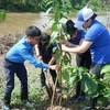 Các Đoàn viên, thanh niên TTXVN tham gia trồng cây. (Ảnh: Đức Hạnh/TTXVN)