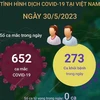 [Infographics] Cập nhật tình hình dịch COVID-19 tại Việt Nam ngày 30/5