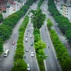 Các tuyến phố nội đô đang dần được phủ xanh bởi các cây tạo cảnh quan đường phố như giống cây bàng Đài Loan, giáng hương. (Ảnh: Hoài Nam/Vietnam+)