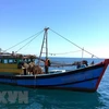 Một tàu khai thác giã cào trái phép trên vùng biển ven bờ ở thị trấn Lăng Cô. (Ảnh: TTXVN phát)