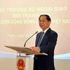 Bộ trưởng Ngoại giao Bùi Thanh Sơn phát biểu tại buổi gặp đại diện cộng đồng người Việt Nam tại Pháp. (Ảnh: Nguyễn Thu Hà/TTXVN) 