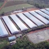 Trang trại của Công ty TNHH Đức Tiến Lê được xây dựng trên diện tích 15ha, quy mô chăn nuôi 10.000 con lợn thịt, tổng vốn đầu tư hơn 40 tỷ đồng và được đưa vào hoạt động từ tháng 10/2019. (Ảnh: TTXVN phát)