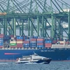 Tàu container tại cảng Pasir Panjang, Singapore. (Ảnh: AFP/TTXVN)
