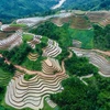 Hà Giang: Những khoanh ruộng bậc thang ăm ắp mùa nước đổ