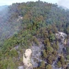 Một vụ rừng thông bị cháy tại tỉnh Thừa Thiên-Huế. (Ảnh: Tường Vi/TTXVN)