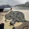 Đường ở một số khu vực của Himachal Pradesh bị nhấn chìm hoàn toàn trong nước. (Nguồn AFP)